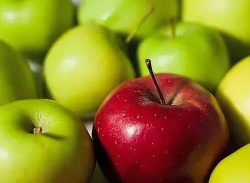 Польза яблок для человеческого организма
